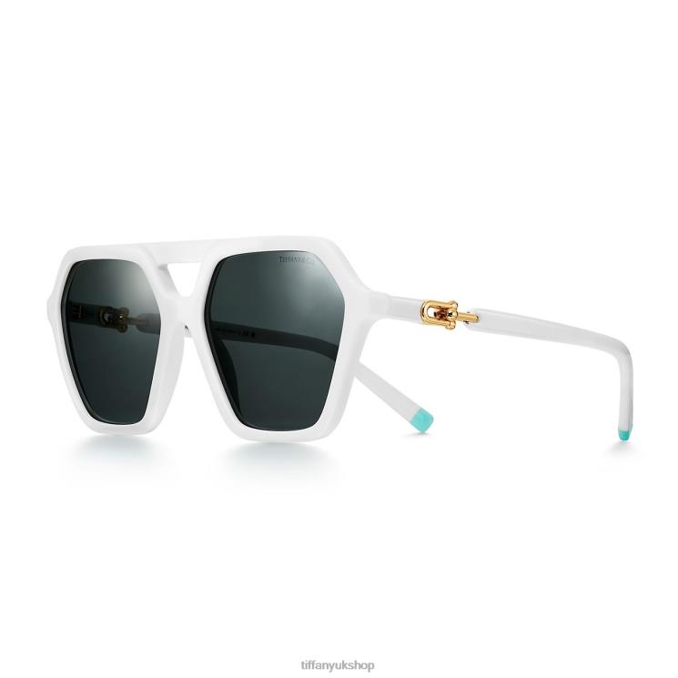 Unisex Tiffany Sunglasses Accessories 88T0X2535