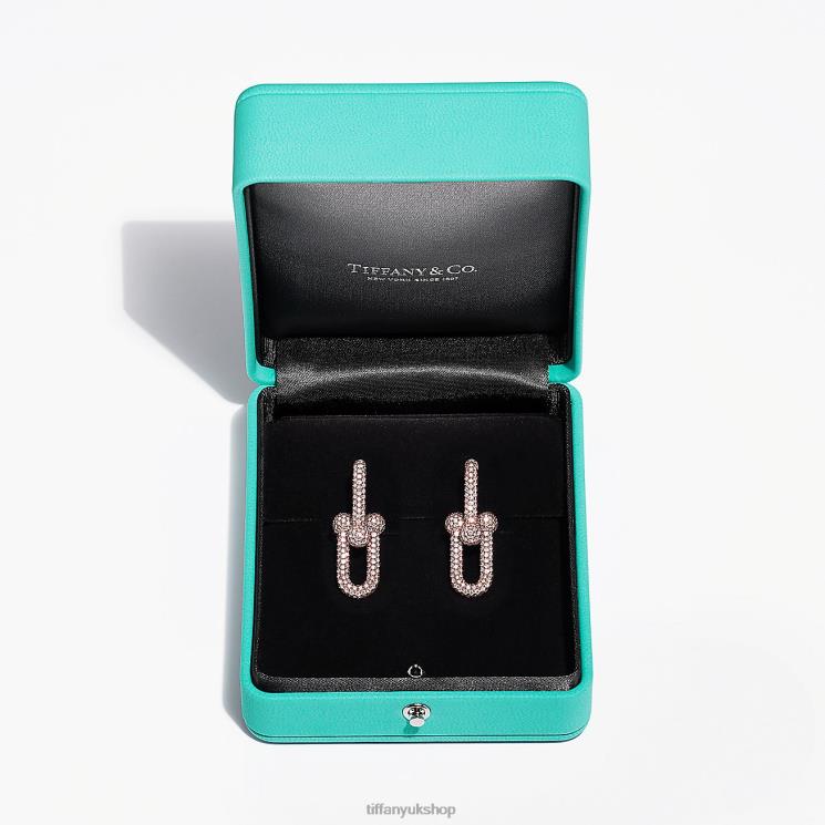 Unisex Tiffany Link Earrings Jewelry 88T0X825