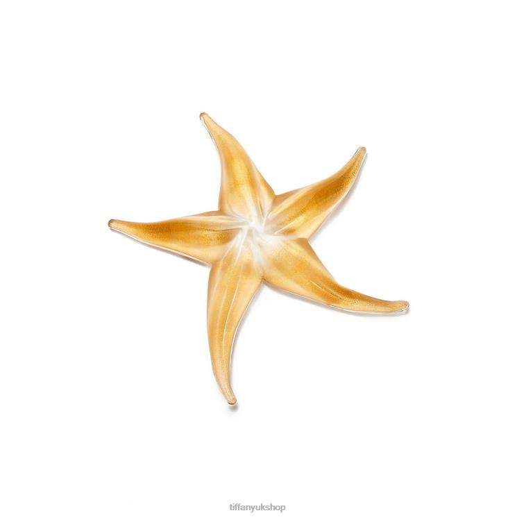 Unisex Tiffany Starfish Home Decor 88T0X2323